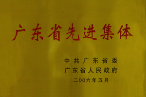 广东省先进集体