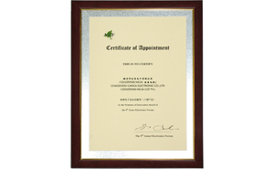 亚洲电子论坛AEF创新奖